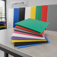 Solution d'emballage personnalisée en PP, feuille de plastique ondulé en PP pour la fabrication, le stockage et l'expédition, feuilles de polypropylène