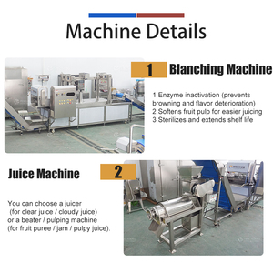 Ligne <span class=keywords><strong>de</strong></span> transformation <span class=keywords><strong>de</strong></span> purée et <span class=keywords><strong>de</strong></span> jus <span class=keywords><strong>de</strong></span> fruits commerciale, machine à fabriquer du jus d'ananas, <span class=keywords><strong>de</strong></span> mangue, <span class=keywords><strong>de</strong></span> pomme et <span class=keywords><strong>de</strong></span> <span class=keywords><strong>grenade</strong></span> - Product Image 5