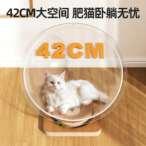 Space Capsule <b>Cat</b> Bed High Transparency Acrylic Round Pet Bed With <b>Scratch</b> <b>Post</b> <b>For</b> <b>Cats</b> Four Seasons Use - Product Image 2