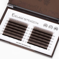 SP Private Label 3D 4D 5D W Forme Cils Brésiliens YY Extensions de Cils Mesh Cilios Tissé à la Main YY Lash Brown Extension de Cils
