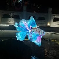 Lanternes en soie personnalisées en forme de poisson Betta fabriquées à l'usine de Zigong |   Lumières LED imperméables en forme d'animaux pour les fêtes et décorations de vacances