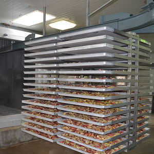 Lyophilisateur électrique automatique de haute qualité, <span class=keywords><strong>pompe</strong></span> de lyophilisation, matériau SUS304 pour le traitement des aliments, séchage des fruits, des grains de café - Product Image 6