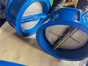 Valvola di ritegno a doppia valvola di ritegno a doppia piastra a disco singola doppia valvola di Non ritorno Wafer valvola di ritegno DN50-DN1200 acqua - Product Image 4