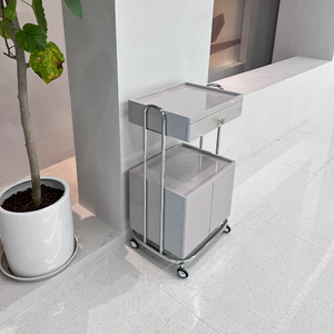 Stainless steel version luxury beauty salon push cart skin management <b>tool</b> cart nail storage and storage mobile storage rack - Product Image 5