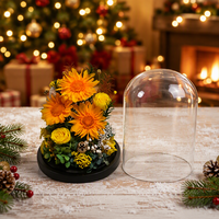 Bouquet de tournesols préservés Hflora à prix d'usine sous dôme en verre, longue durée (3-5 ans), pour décorations de Noël et de la Saint-Valentin