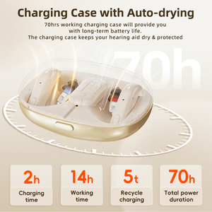 Audífono Digital Recargable Flysound, Venta al por Mayor en China, Autoajustable con Función de Supresión de <span class=keywords><strong>Tinnitus</strong></span>, para Sordera - Product Image 4