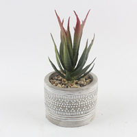Pot de Plante Succulente Moderne sur Mesure en Ciment pour la Décoration Intérieure – Divers Types de Pots à Bonsaï et Jardinières