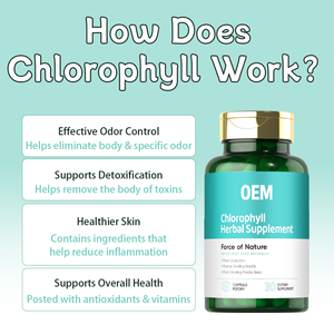 Oem/Odm Biologische Peterselie En Munt Chlorofyl <span class=keywords><strong>Capsules</strong></span> | Groothandel Op Maat Gemaakte Voedingssupplementen | Schone Etiketformules - Product Image 5