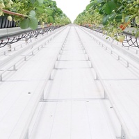 Tapis anti-mauvaises herbes respirant pour serre, vente en gros par les fabricants GT