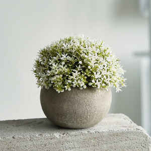 Plante artificielle en eucalyptus miniature en pot, verdure en plastique pour la décoration de la maison à Pâques, Noël, Halloween, remise de diplôme, Nouvel An - Product Image 3