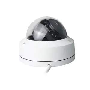 security camera 2MP 5X IP/Network IR Big Eyeball Dome Camera