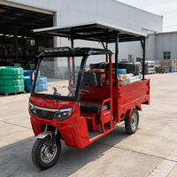 Battery Powered Electric Cargo Tricycle 60V/72V Lead-Acid Battery 600kg Rated Load Electric Motorcycles Trike with Solar Panel