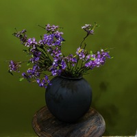 Kunstmatige sneeuwvlokken takken, kleine decoratieve bloemen voor thuisdecoratie, gedroogde takken, eenvoudige bloemstukken voor theekamer.