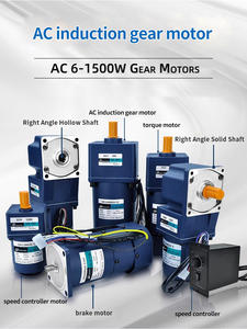 1350 U/min 220V Einphasiger Getriebemotor mit Einstellbarer Geschwindigkeitsregelung 50Hz 40W Wechselstrommotor - Product Image 5