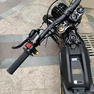 Light Bee X Mise à niveau Premium Electric Dirt Bike 120km d'autonomie avec moteur central 8000W et batterie au lithium 60V DDP Ready - Product Image 6