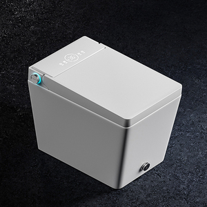 Современный напольный цельный керамический унитаз - Product Image 1