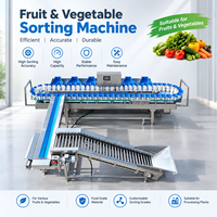 Modulaire doos sorteermachine, eenvoudige montage voor kleine en middelgrote fruit- en groenteverwerkingsbedrijven
