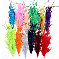 Plumes de poulet de qualité supérieure en gros, bon marché, pour coiffure, motif teinté, 12 pouces, 30 cm, pour la danse de mascarade et l'artisanat