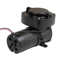 Pompe à diaphragme portable 24V 12V, compresseur d'air haute pression, moteur à balais OEM pour diffuseur d'aromathérapie