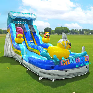 Fabricante de Toboganes Inflables de Alta Calidad en Venta, Tobogán Acuático Inflable, Piscina, Material de PVC, Comercial - Product Image 4