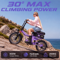 Vélo Électrique Pliant Tout-Terrain Adulte 14 Pouces Haute Vitesse 500W 48V 58Ah Autonomie 140km – Vente en Gros Usine OEM ODM