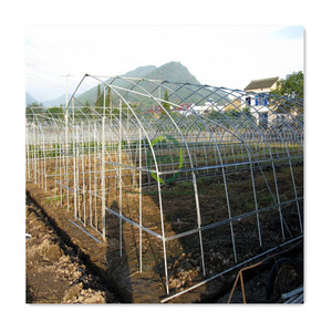 Serre <span class=keywords><strong>agricole</strong></span> à prix avantageux, film de protection en plastique, serre à simple portée, serre verte avec système d'irrigation goutte à goutte - Product Image 2