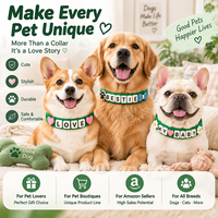 Collier pour animaux de compagnie en silicone personnalisé, collier pour chien personnalisé, accessoires mignons pour animaux de compagnie, vente en gros, fabricant OEM ODM pour les marques d'articles pour animaux