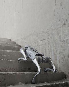 Go2 EDU Edición Estándar, Perro Robot Cuadrúpedo Biónico Inteligente con IA Interactiva y Sistema Operativo ISS 2.0 - Product Image 2