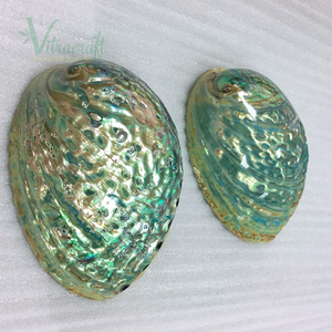 Coque d'abalone naturelle piquée du Vietnam, plateau en nacre naturelle, assiette de vinaigre - Product Image 5