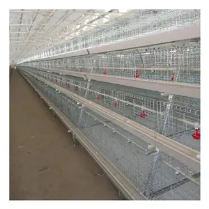Cold/Hot Galvanized Egg Layer Chicken Cage Farming Poultry Hens Cage