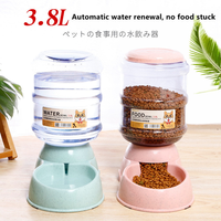 Fontaine à eau jetable en plastique de 3,8 L pour animaux de compagnie, distributeur automatique d'eau et de nourriture pour animaux, bol d'eau pour chat et chien