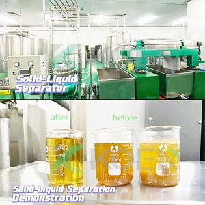 LW300 2 Phase Top-Quality SS316L Continuous Decanter Centrifuge for Mustard and Palm Oil <strong>Processing</strong> - Product Image 6