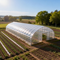 Serre de haute qualité à double couche, grande taille, à simple travée, pour tomates, fruits et fleurs, à vendre