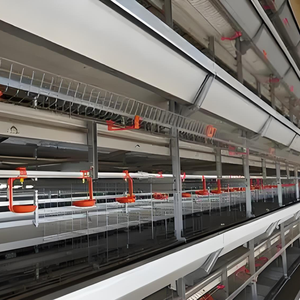 Poulailler à cadre en acier de style ferme pour l'élevage de poulets de chair à la ferme - Product Image 5