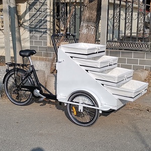 <span class=keywords><strong>Bicicleta</strong></span> eléctrica de carga con cesta, venta al por menor, 3 ruedas - Product Image 5