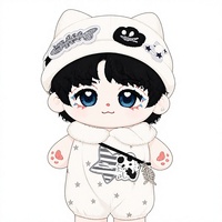 Peluche Kpop personnalisée, bonnet, combinaison étoile, jouet en peluche doux, vente en gros