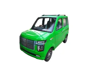 2024 Right Hand Drive New Energy Vehicles And 4 Wheel 1 Person Electric Mini Car With Optimal Price