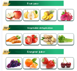 Extracteur industriel Profession r Machine à réduire en pulpe les jus de fruits Mango <span class=keywords><strong>Passion</strong></span> Fruit Pulper centrifugeuses - Product Image 6