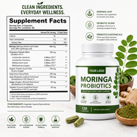 Capsules de Moringa Probiotiques de Qualité Supérieure en Gros pour Marques Privées OEM – Complément Alimentaire Biologique Naturel pour la Gestion du Poids