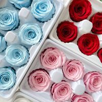 Eeuwige Roos Natuurlijk Ge conserveerde Bloem Materiaal 8 stuks in doos Verse Rozen Handgemaakt DIY Cadeau voor Kerstmis Moederdag Valentijnsdag