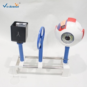 Menschliches Augenmodell Seh-Demonstrationsinstrument Myopie Hyperopie Optik Lehrmittel SGS CE ROHS - Product Image 1