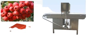 Customized Automatic Fruit Leather Making Machine Core Components Featuring Pump Motor Gear Bearing for <strong>Vegetable</strong> <strong>Products</strong> - Product Image 2