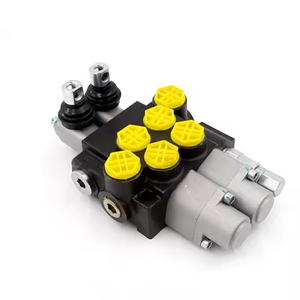 วาล์วควบคุมทิศทางไฮดรอลิก P40-G12-2OT |   ผู้ผลิตมืออาชีพ ผู้จัดจำหน่ายระดับโลก และผู้ให้บริการโซลูชันตามความต้องการ - Product Image 1