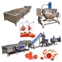 Ligne de production de sauce tomate, petite ligne de production de purée de tomate et de ketchup à vendre