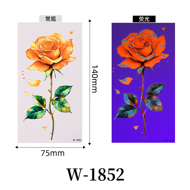 W-1852-75*14cm troquel