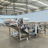 Bellenwasmachine voor fruit en groenten, industriële ozonreiniger, commerciële luchtreiniger