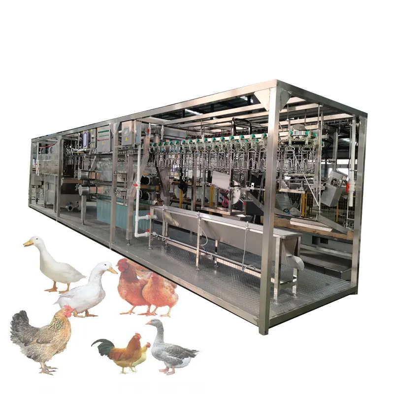 Linea di produzione di macellazione di polli automatica per macellazione di pollame di pollo macello