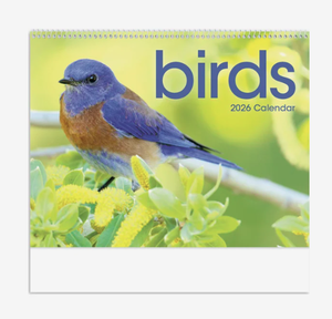 Calendari Promozionali Personalizzati 2027 con Logo, Regalo Aziendale, Vendita all'Ingrosso, Spirale Premium - Product Image 3