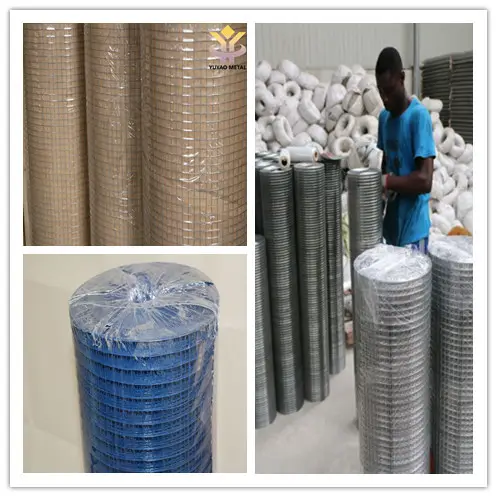 Weld Mesh Price PVC Gi 50 X 50mm Galvanized Panel Coated Fence 1/2 And 1 Inch Bird Cage Welded Wire Mesh Roll