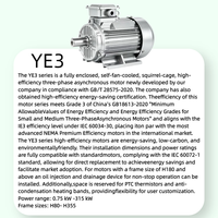 Moteur asynchrone triphasé professionnel YE3-112M-4, 2P 2 pôles, 4KW 5.5HP, IP55, haute efficacité